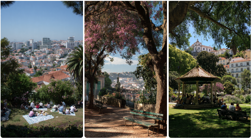 Jardim Botto Machado – A Picnic Spot Overlooking Feira da Ladra