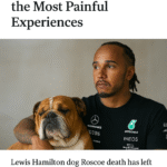 Lewis Hamilton Dog Roscoe Death
