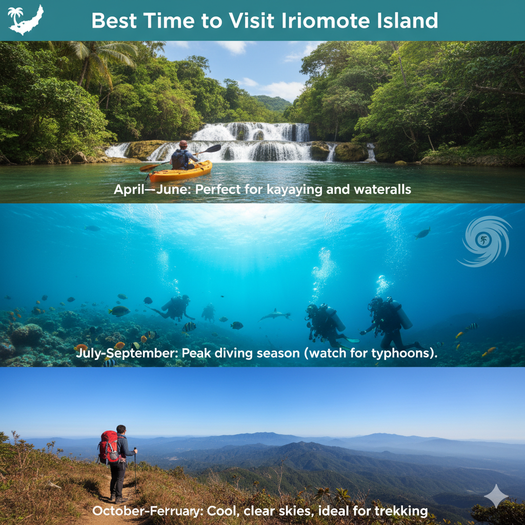 Best Time to Visit Iriomote Island