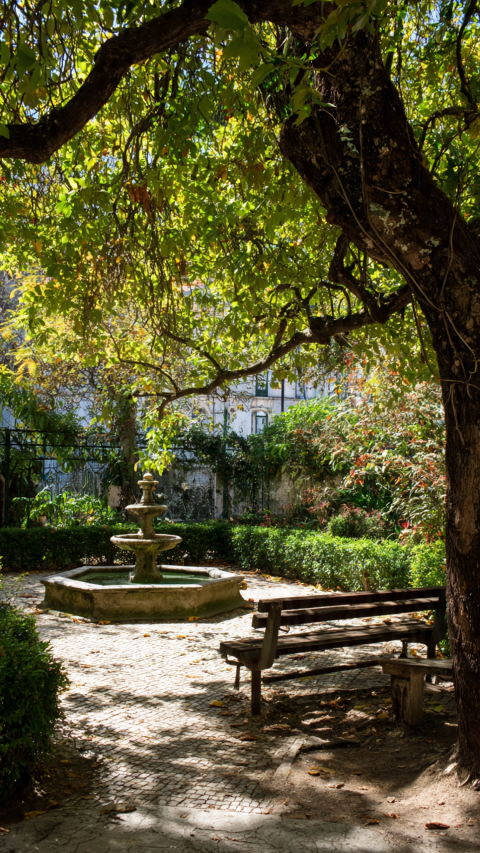 Jardim da Estrela Lisbon quiet garden2 Jardim-da-Estrela-Lisbon