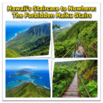 Hawaii’s Staircase to Nowhere The Forbidden Haiku Stairs