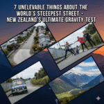 World’s Steepest Street – New Zealand’s Ultimate Gravity Test